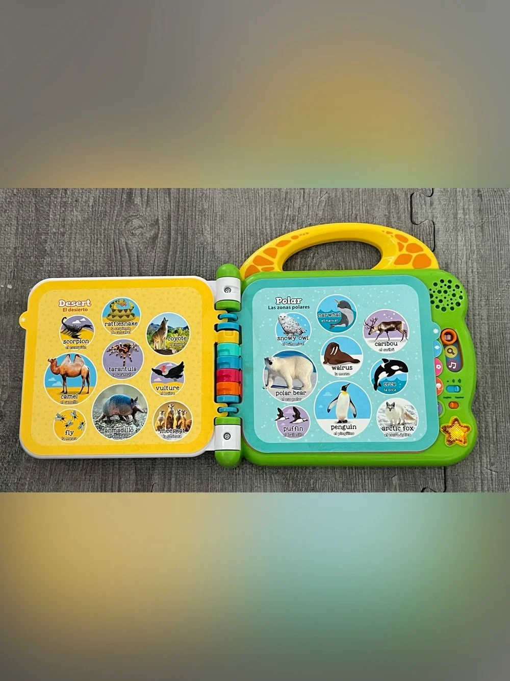 N/A leapfrog 100